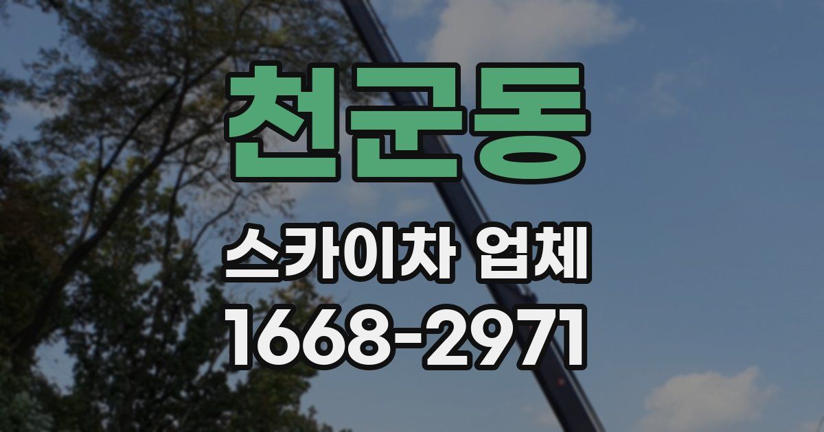 천군동 스카이차 업체