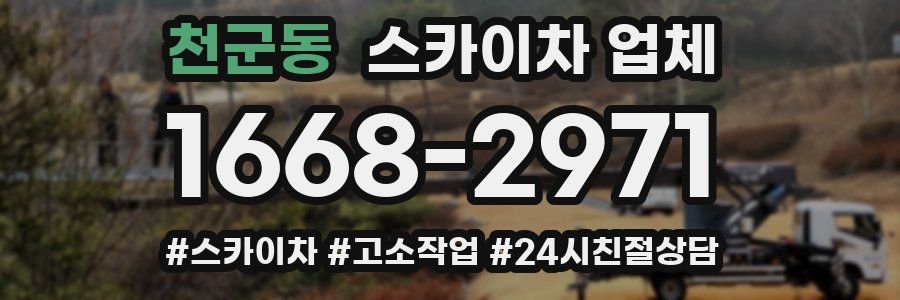 천군동 스카이차 업체