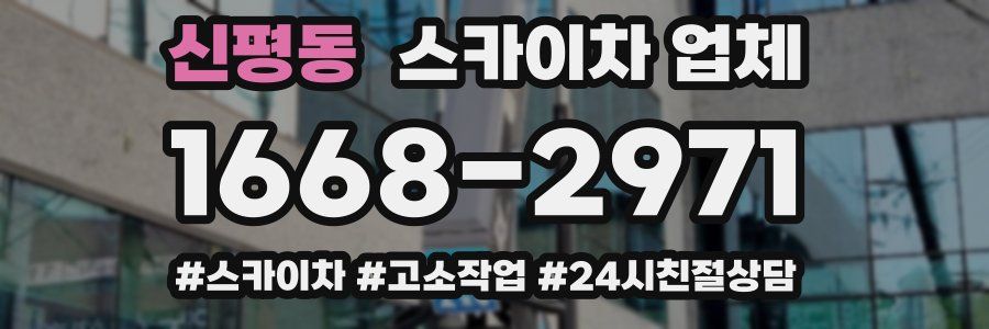 신평동 스카이차 업체