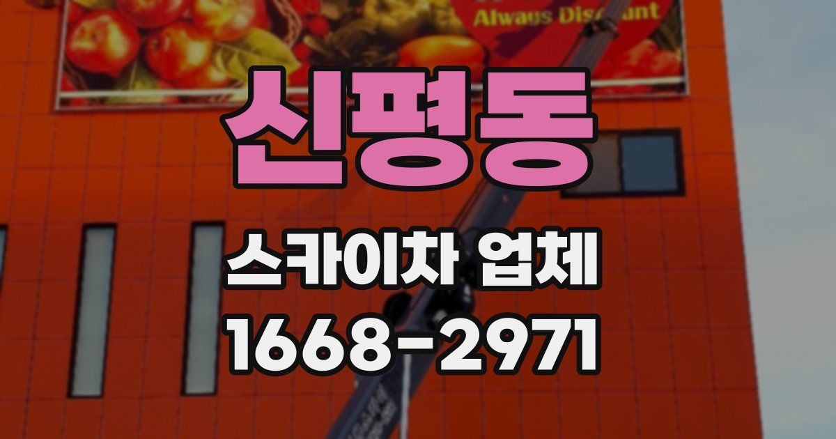 신평동 스카이차 업체