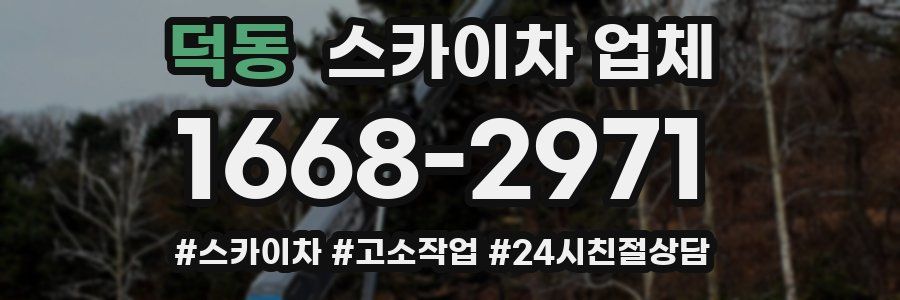 덕동 스카이차 업체