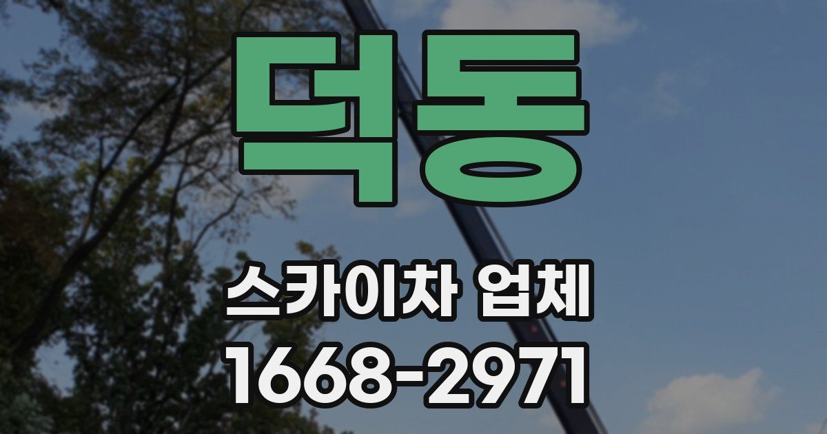 덕동 스카이차 업체