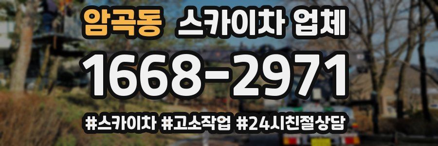 암곡동 스카이차 업체
