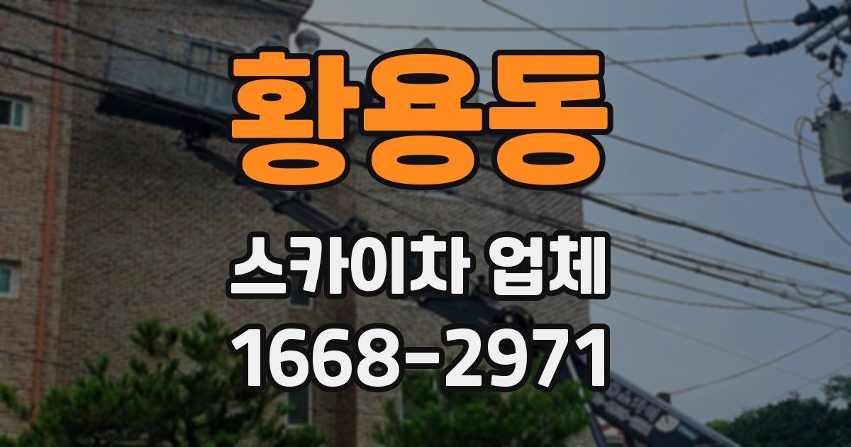 황용동 스카이차 업체