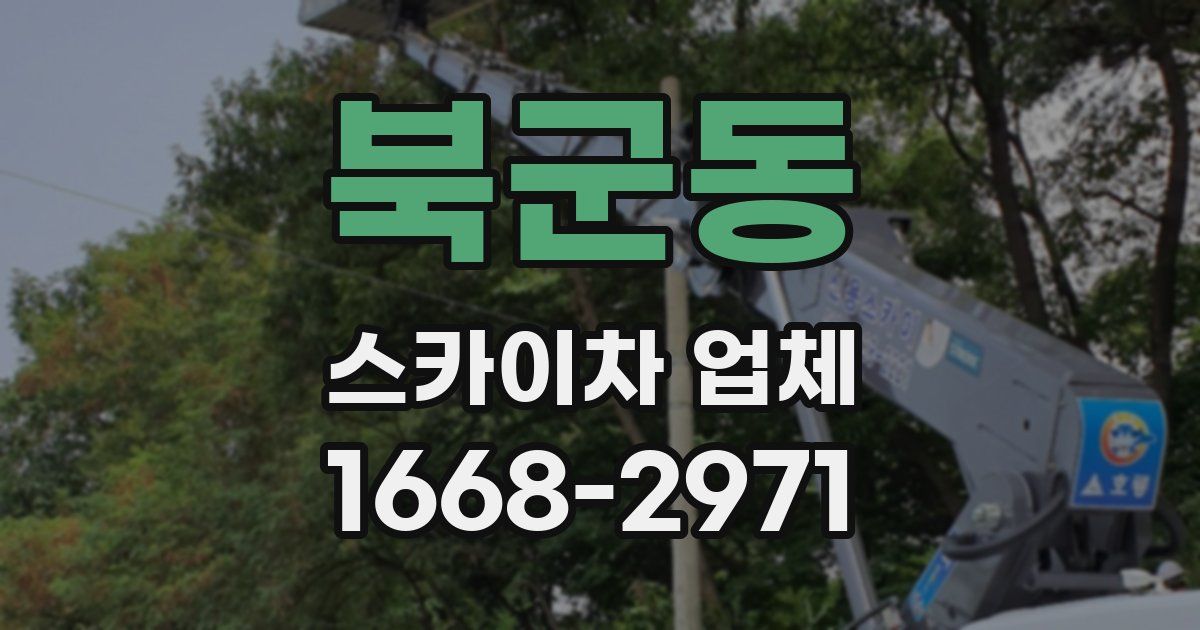북군동 스카이차 업체