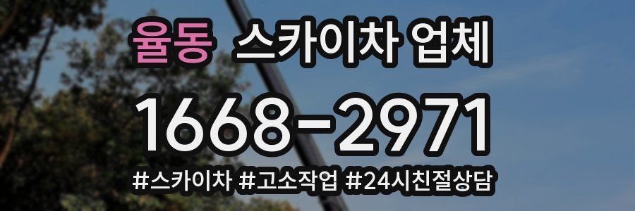율동 스카이차 업체