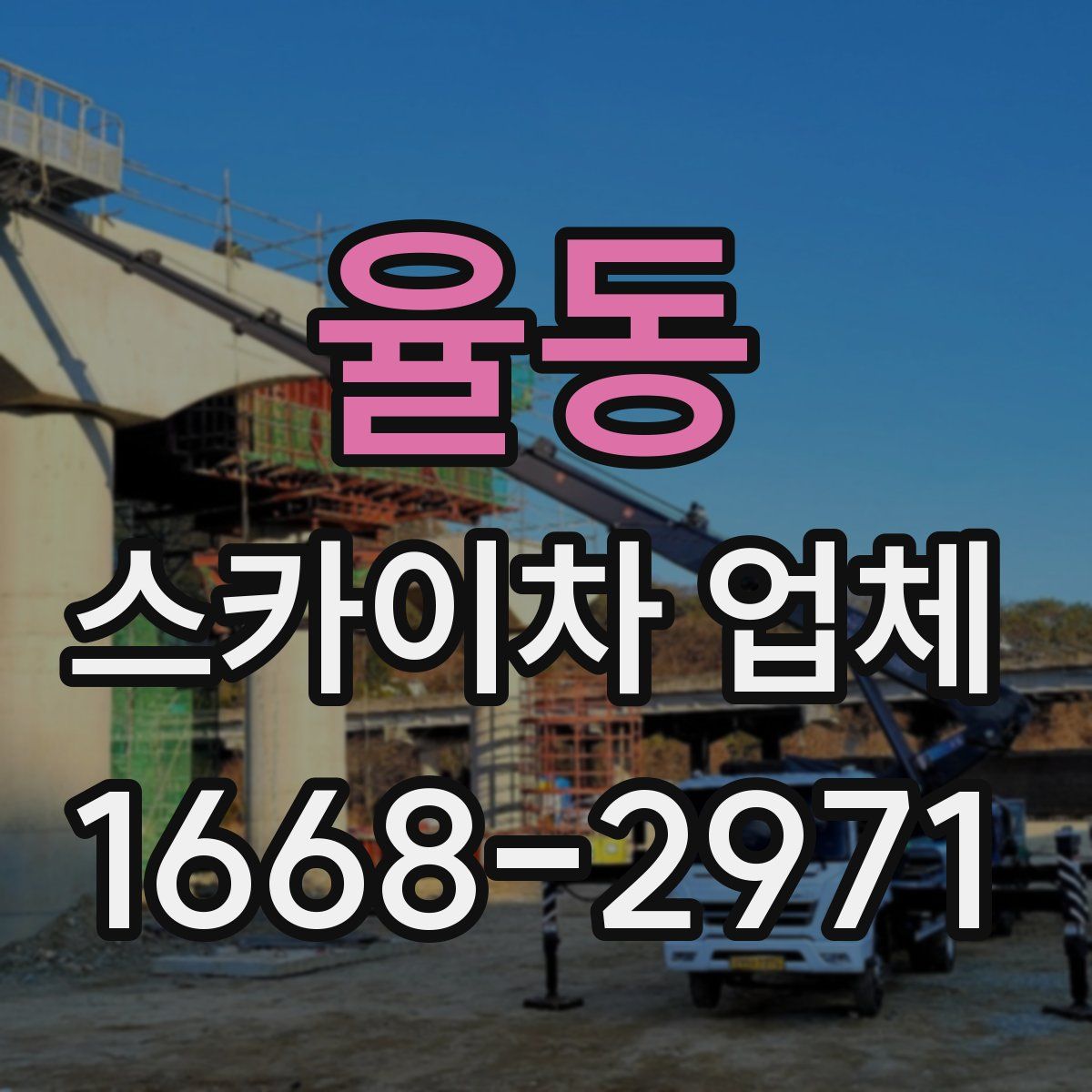 율동 스카이차 업체