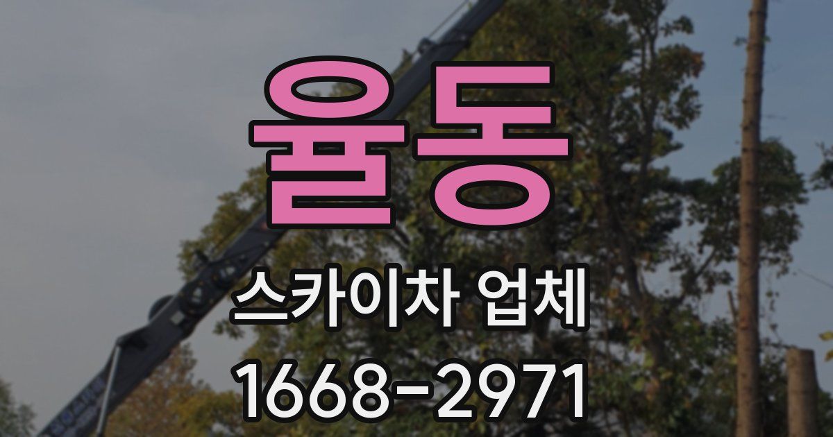 율동 스카이차 업체