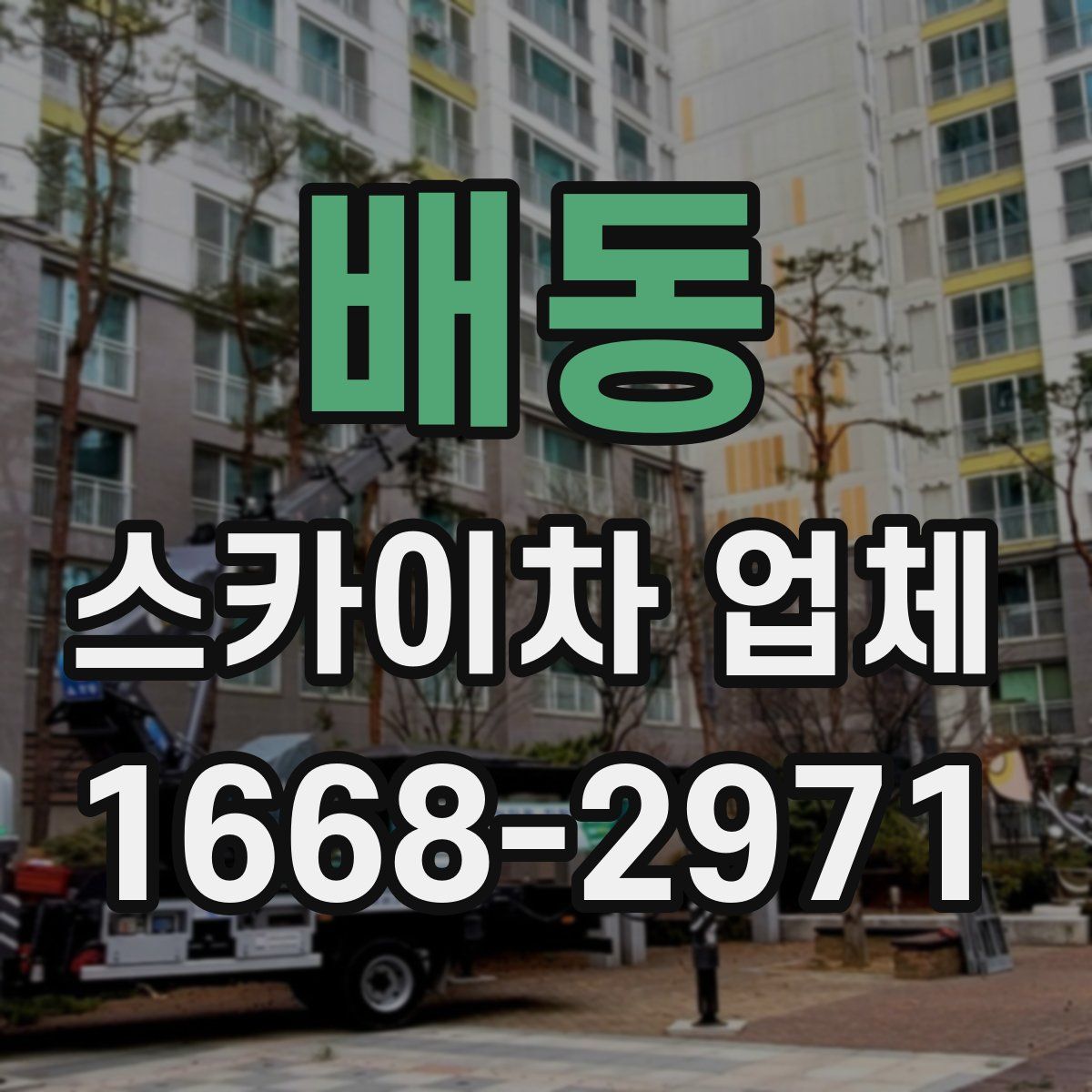 배동 스카이차 업체
