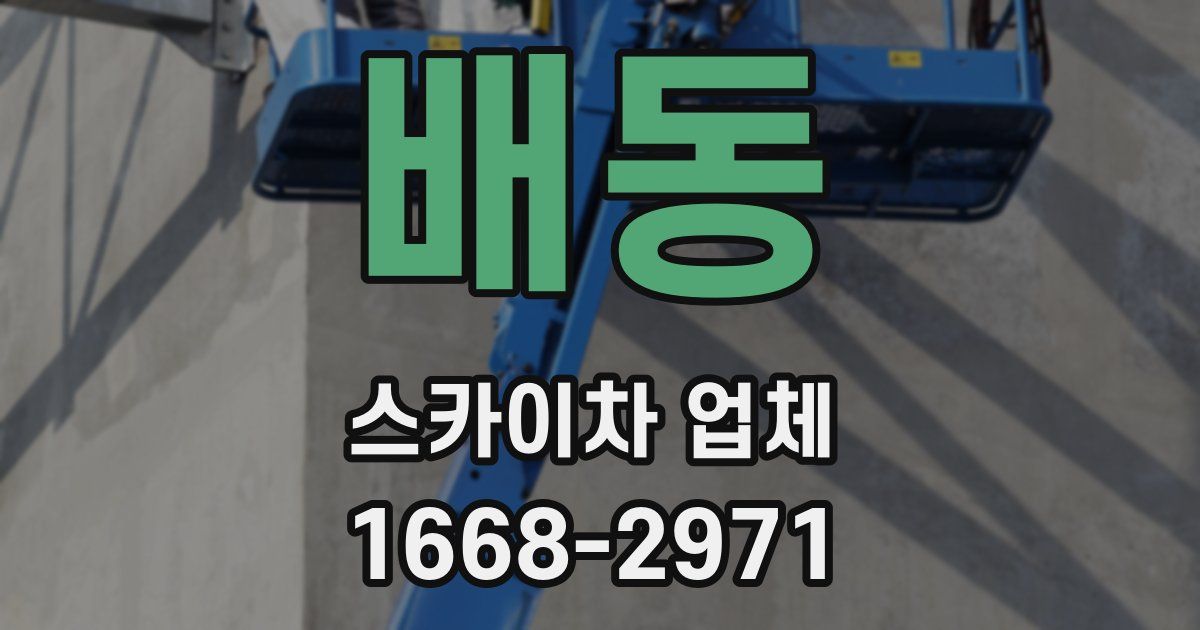 배동 스카이차 업체