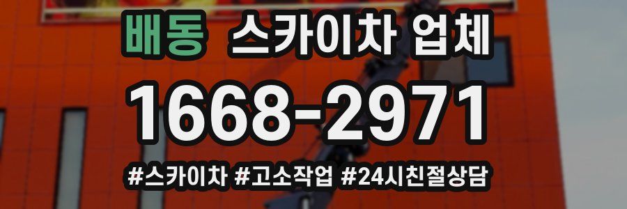 배동 스카이차 업체