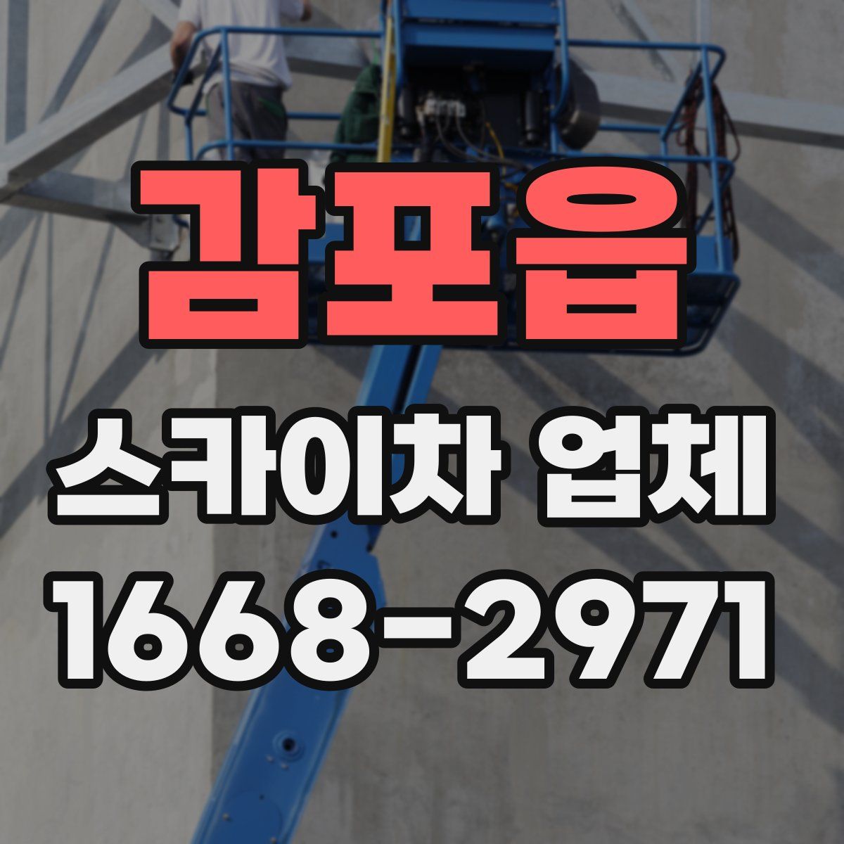 감포읍 스카이차 업체