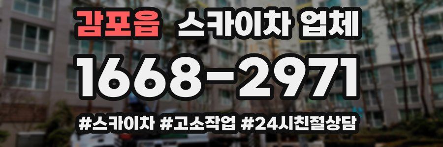 감포읍 스카이차 업체