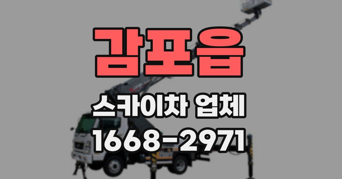 감포읍 스카이차 업체