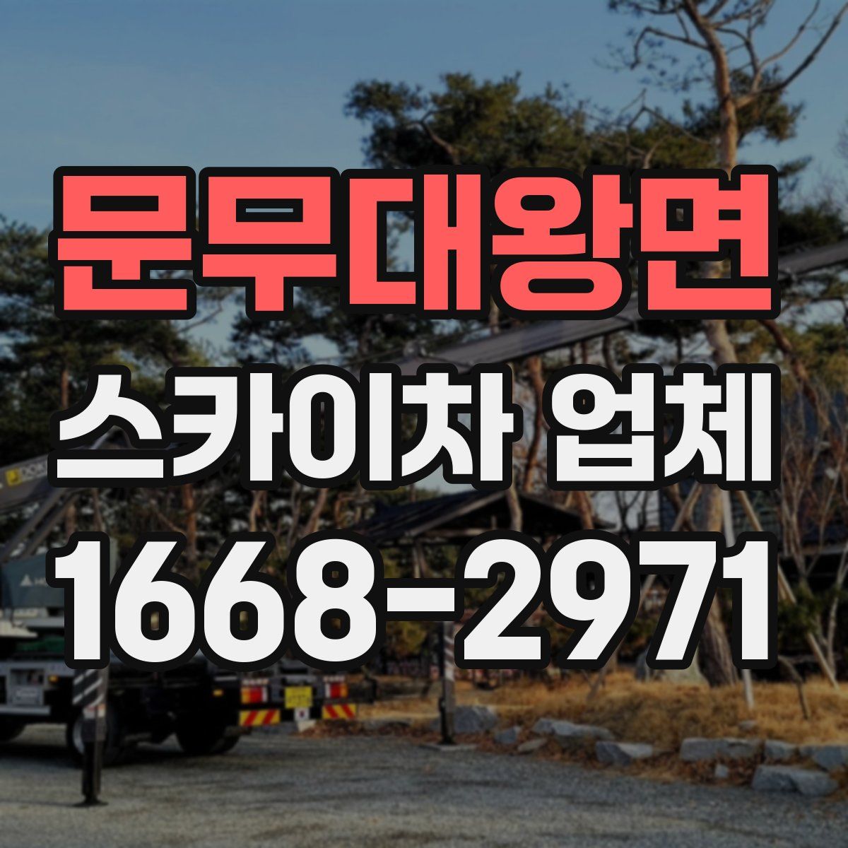 문무대왕면 스카이차 업체