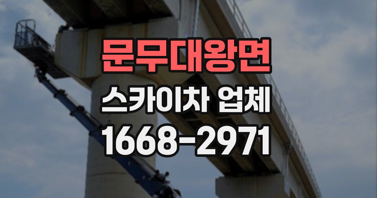문무대왕면 스카이차 업체