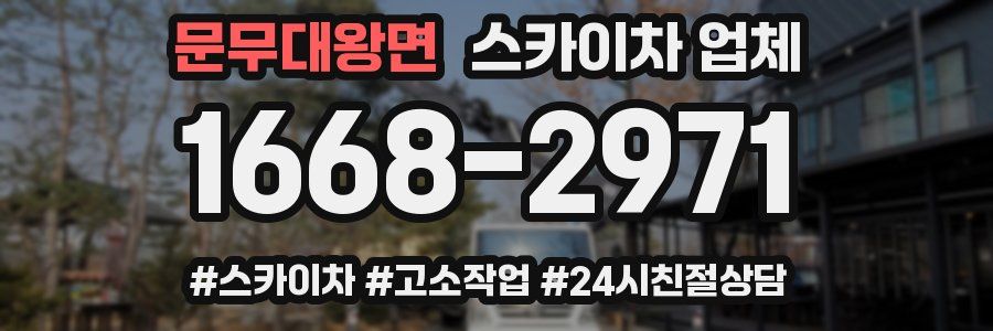 문무대왕면 스카이차 업체