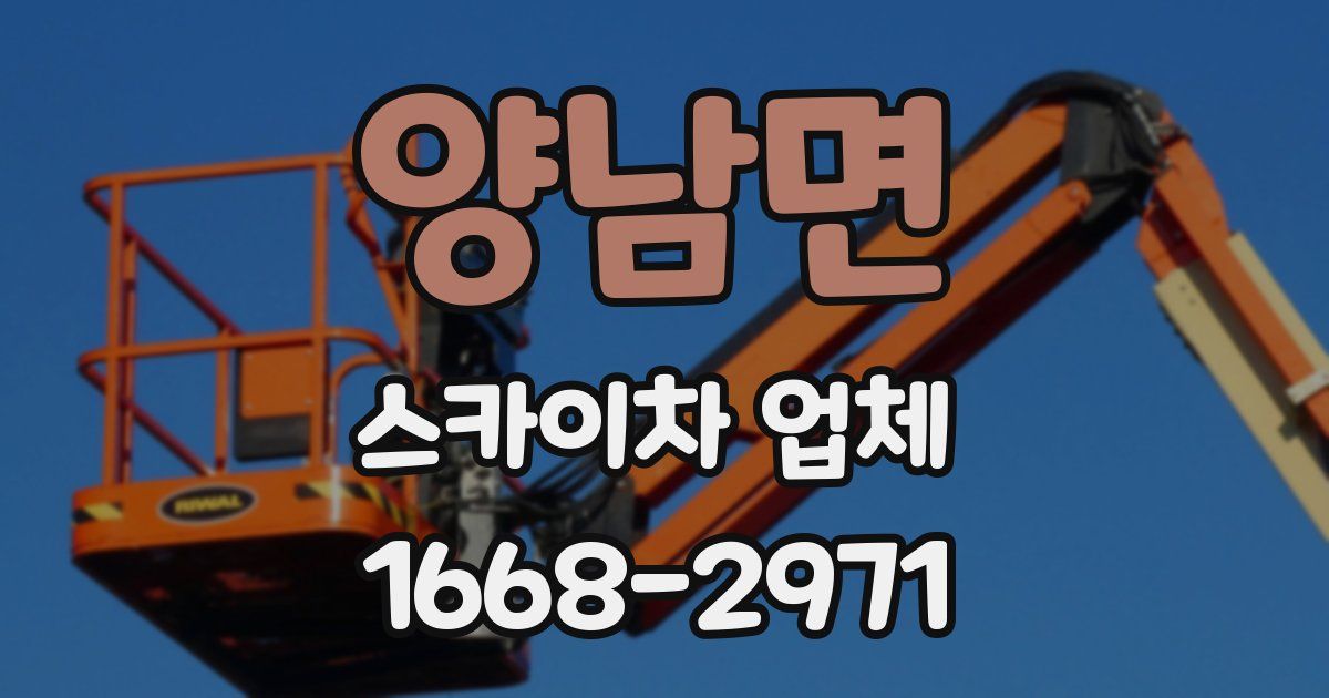 양남면 스카이차 업체