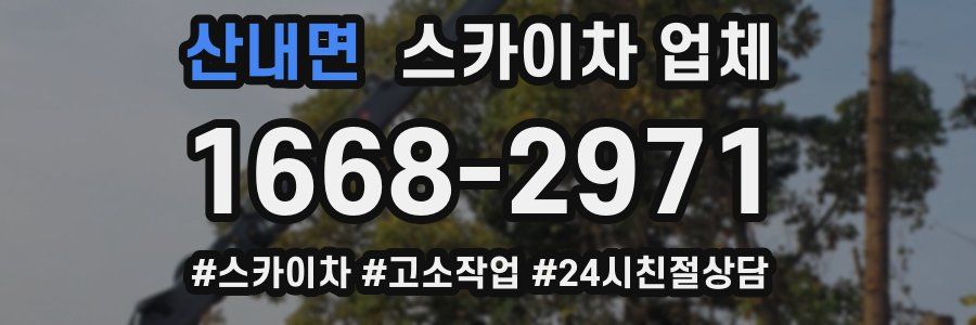 산내면 스카이차 업체