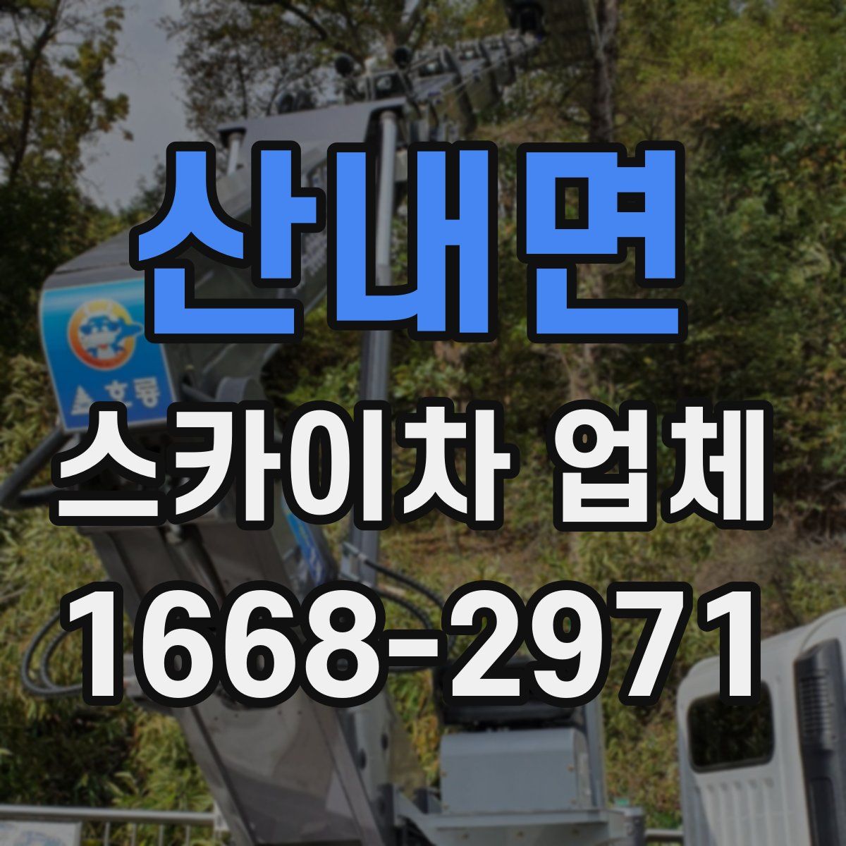 산내면 스카이차 업체