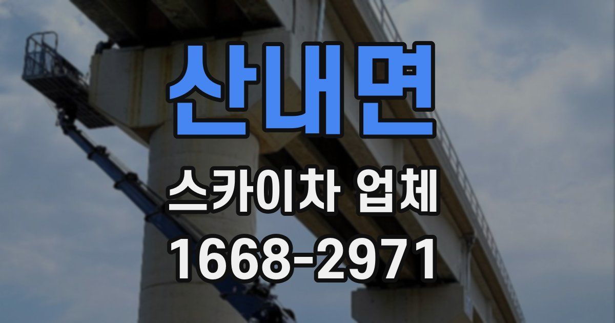 산내면 스카이차 업체