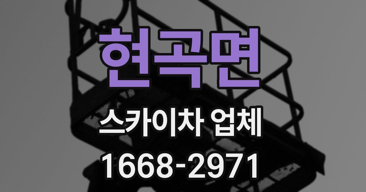 현곡면 스카이차 업체