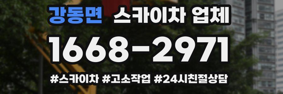 강동면 스카이차 업체