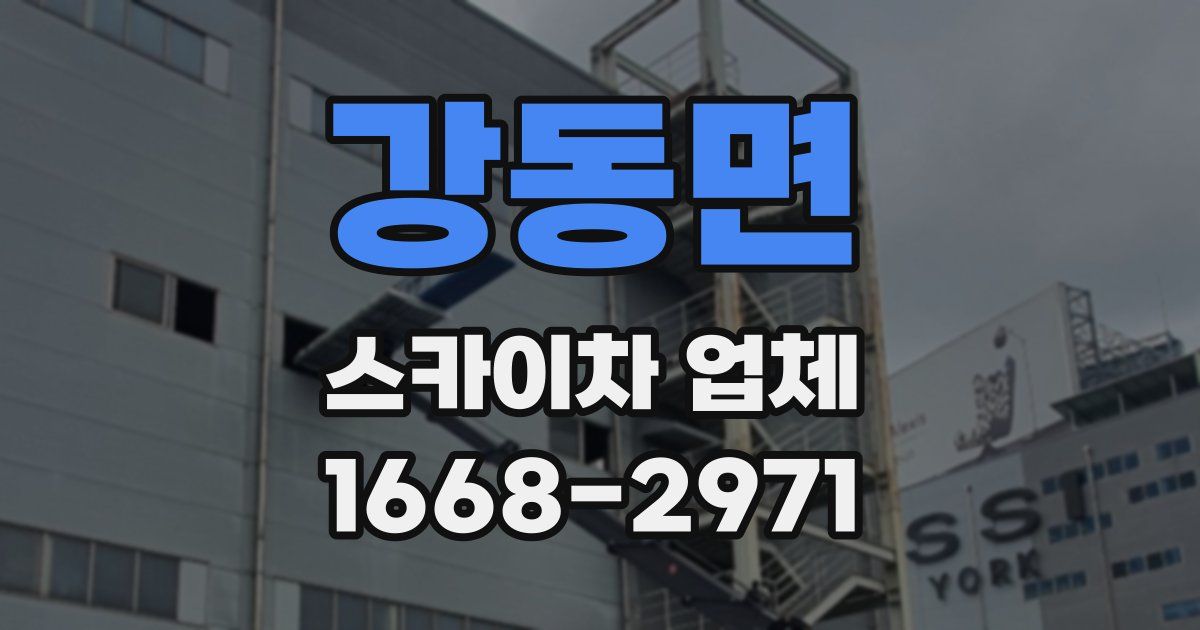 강동면 스카이차 업체