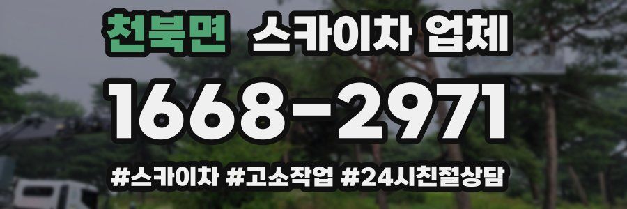 천북면 스카이차 업체