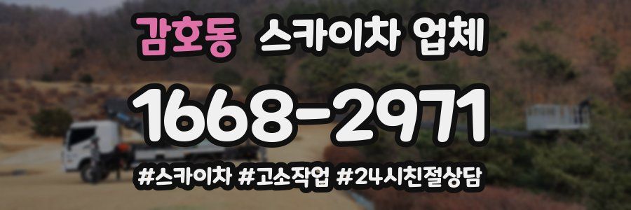 감호동 스카이차 업체