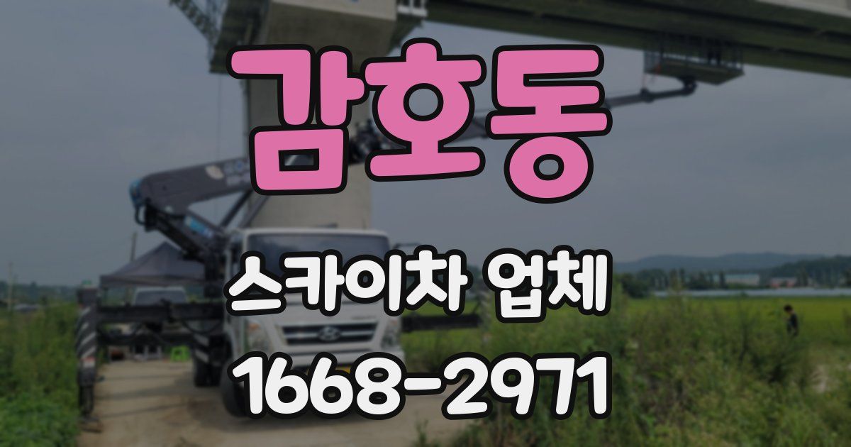 감호동 스카이차 업체
