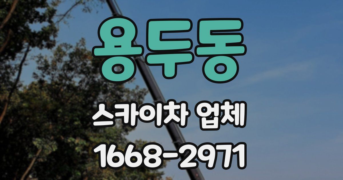 용두동 스카이차 업체