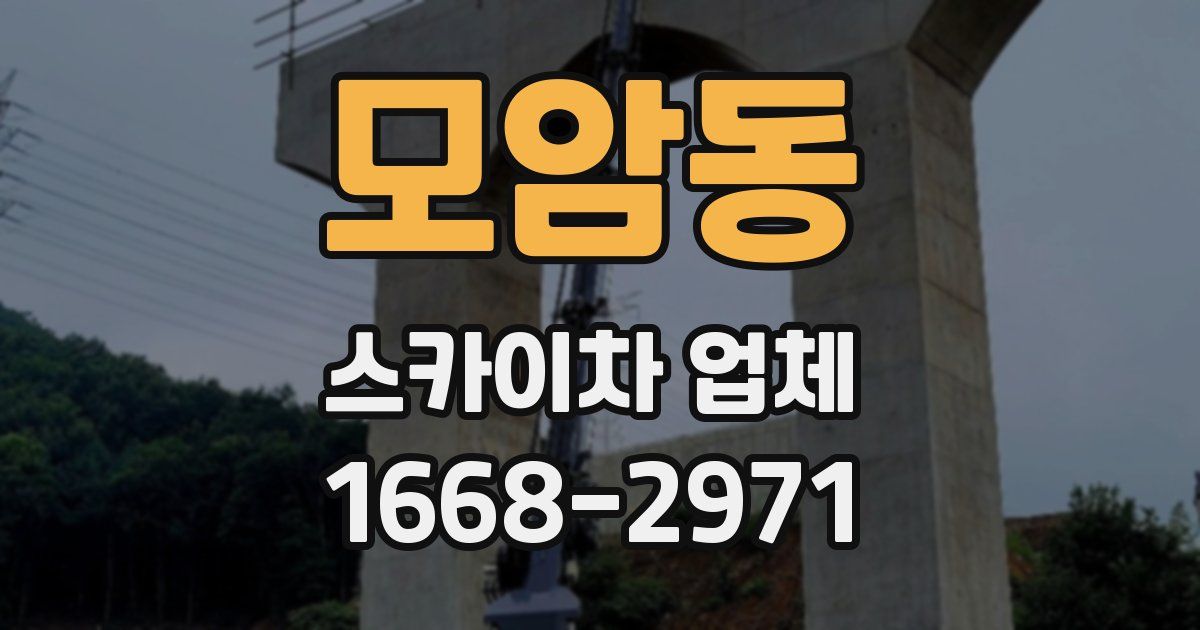 모암동 스카이차 업체