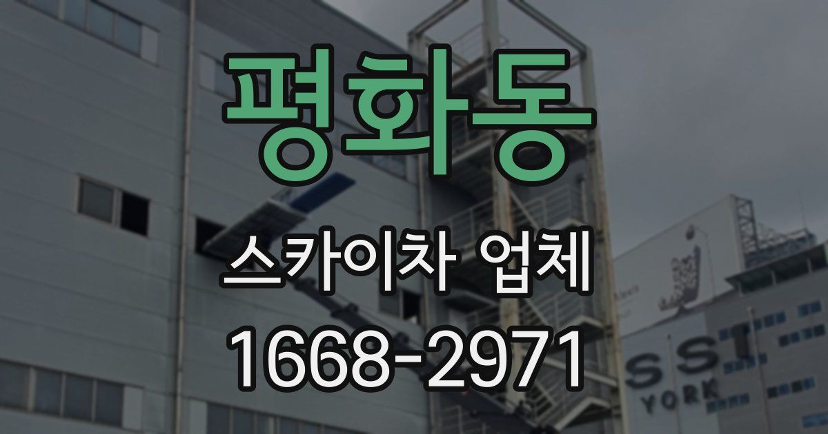평화동 스카이차 업체