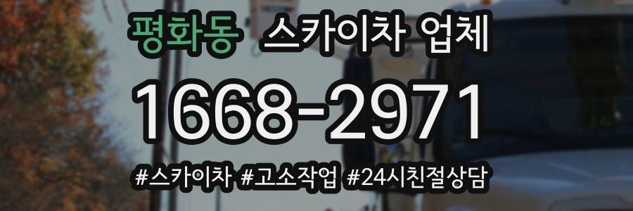 평화동 스카이차 업체