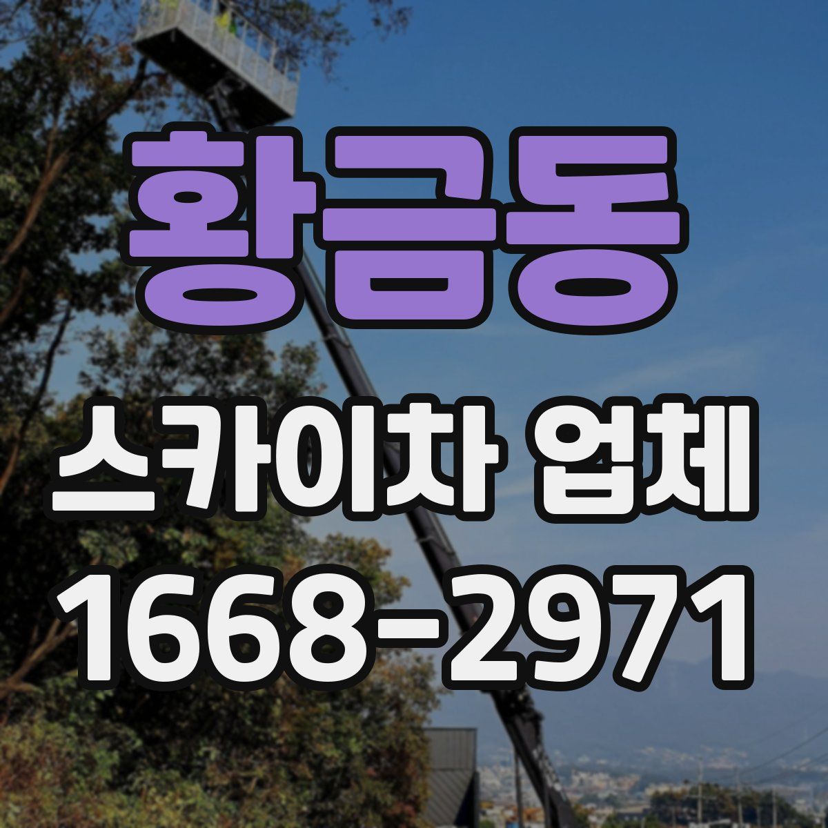 황금동 스카이차 업체