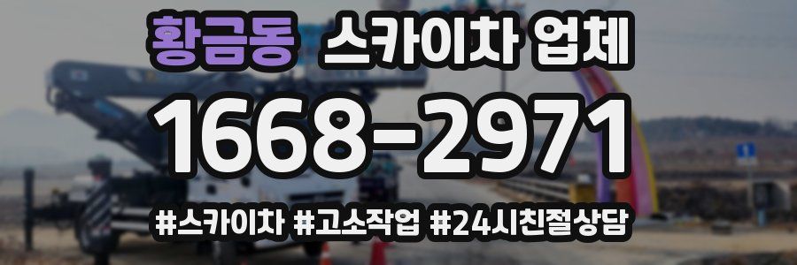 황금동 스카이차 업체