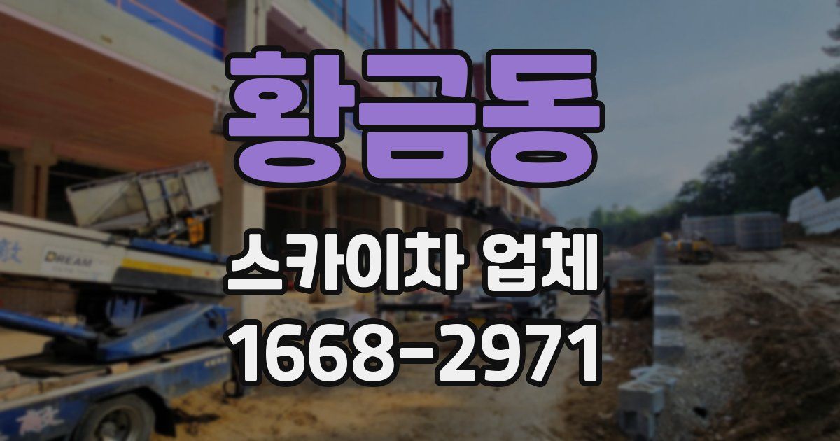 황금동 스카이차 업체