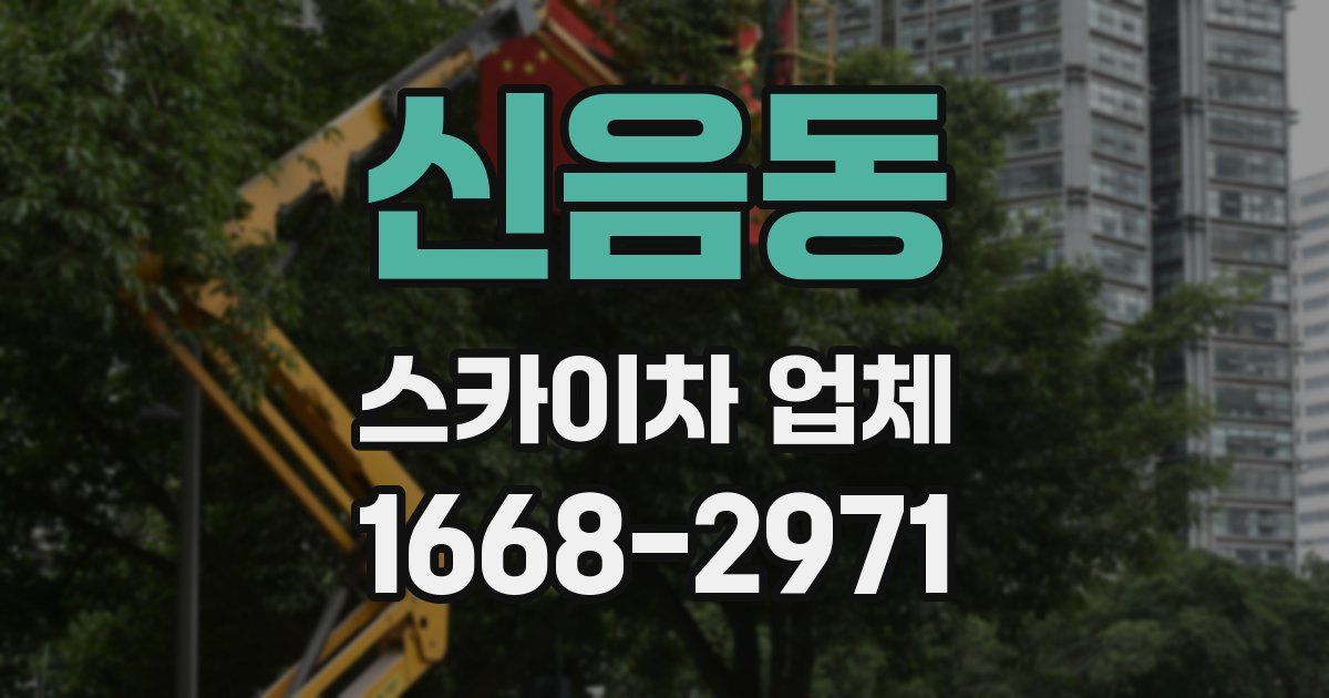 신음동 스카이차 업체