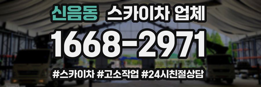 신음동 스카이차 업체