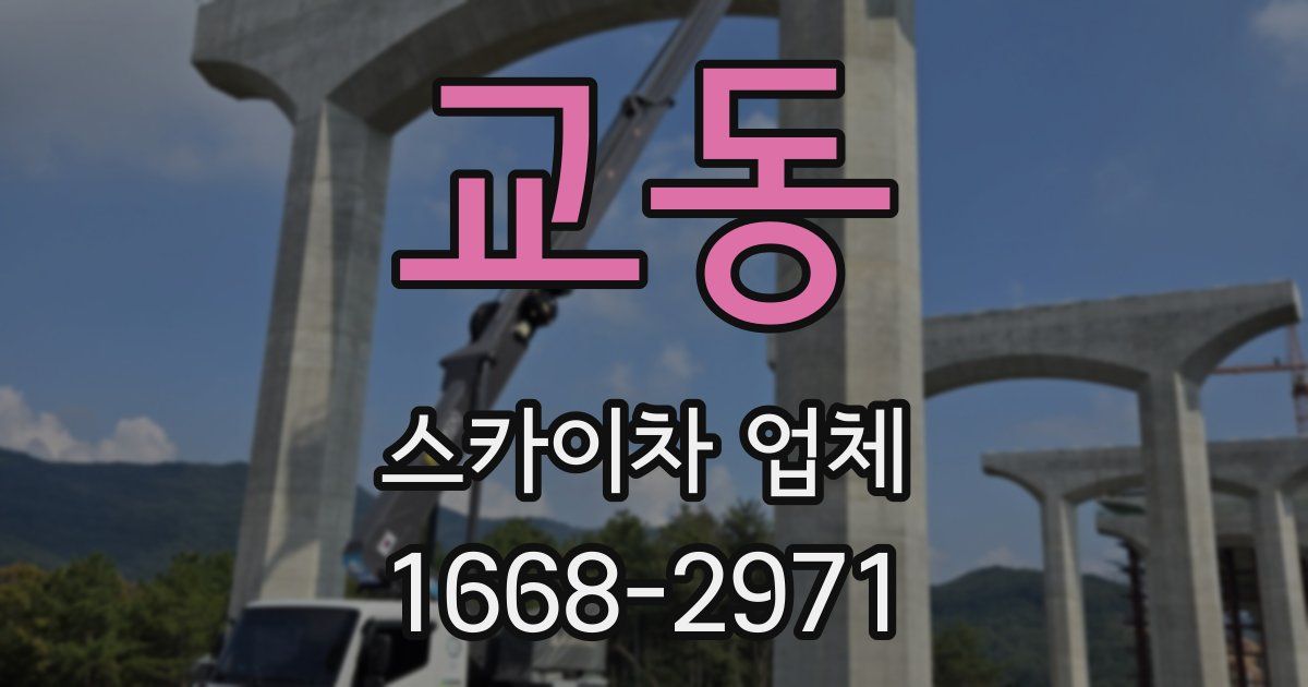 교동 스카이차 업체