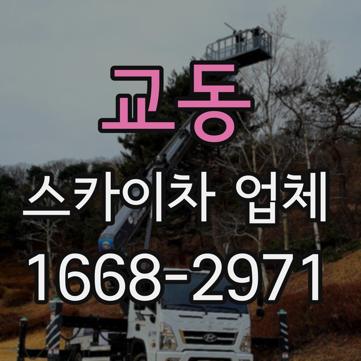 교동 스카이차 업체