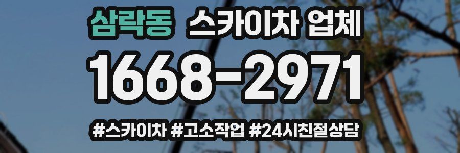 삼락동 스카이차 업체