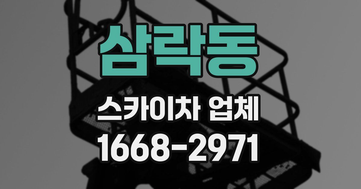 삼락동 스카이차 업체