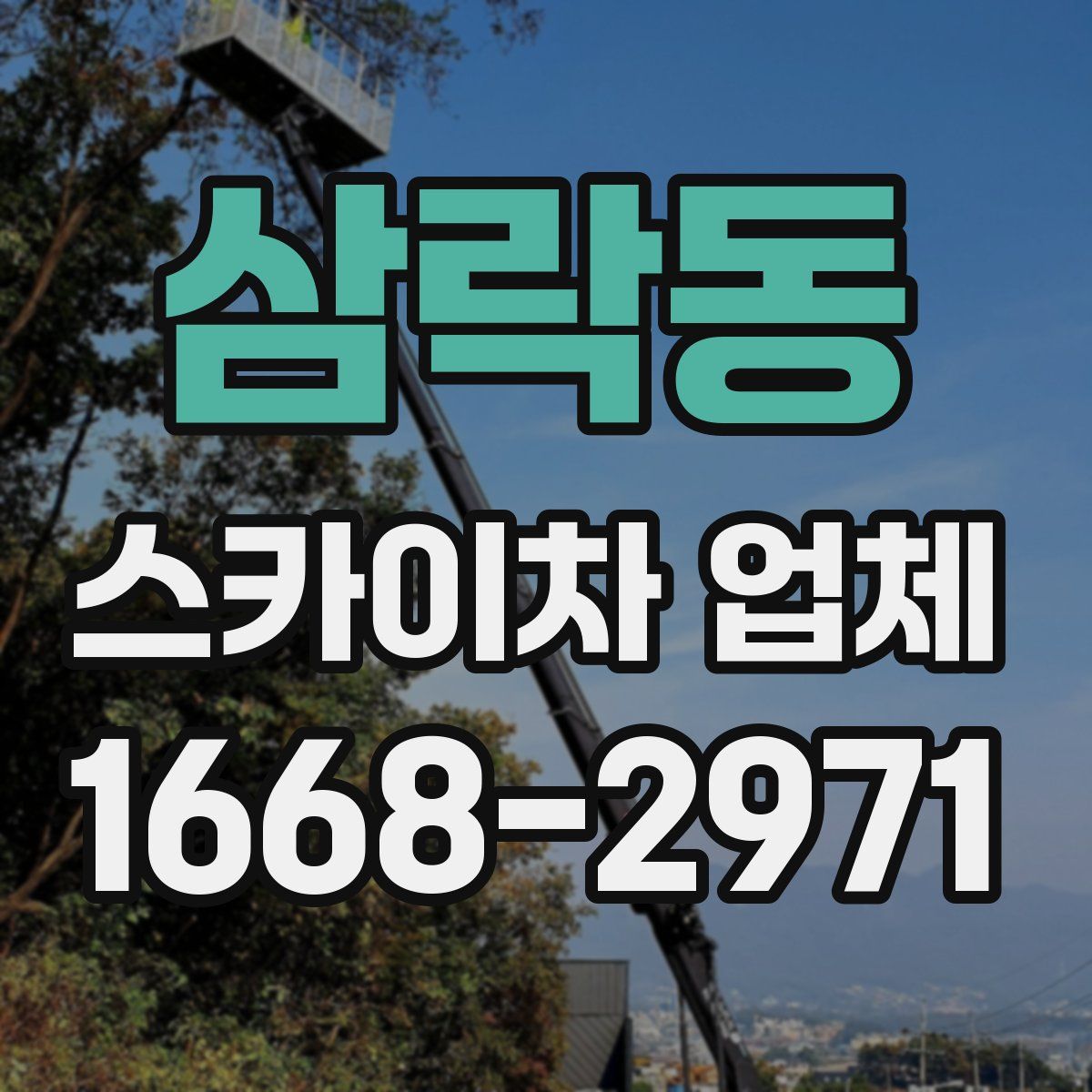 삼락동 스카이차 업체