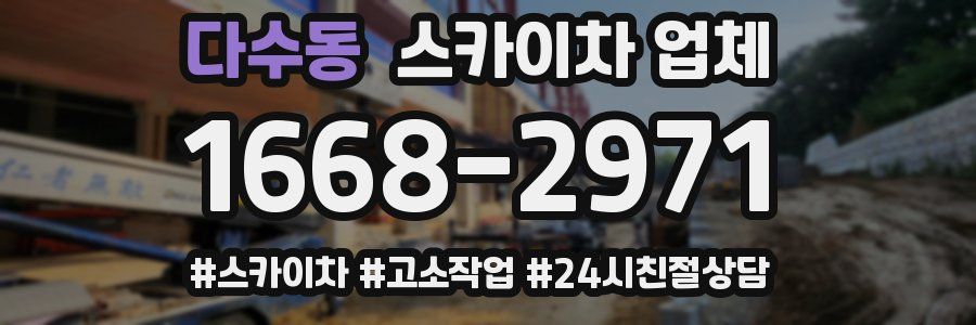 다수동 스카이차 업체