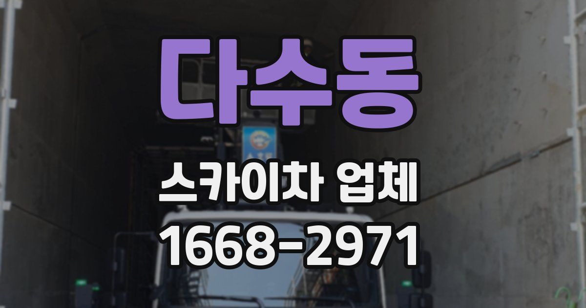 다수동 스카이차 업체