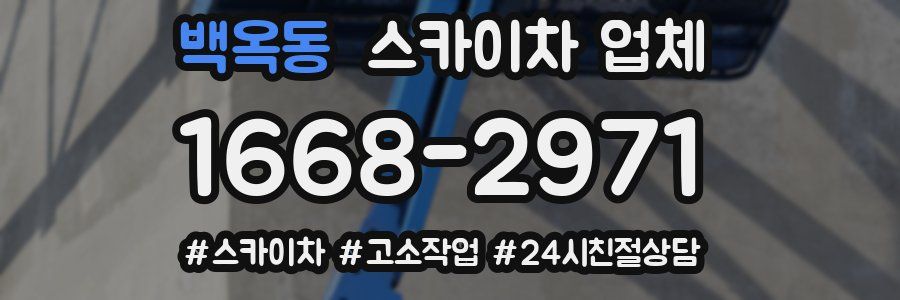 백옥동 스카이차 업체