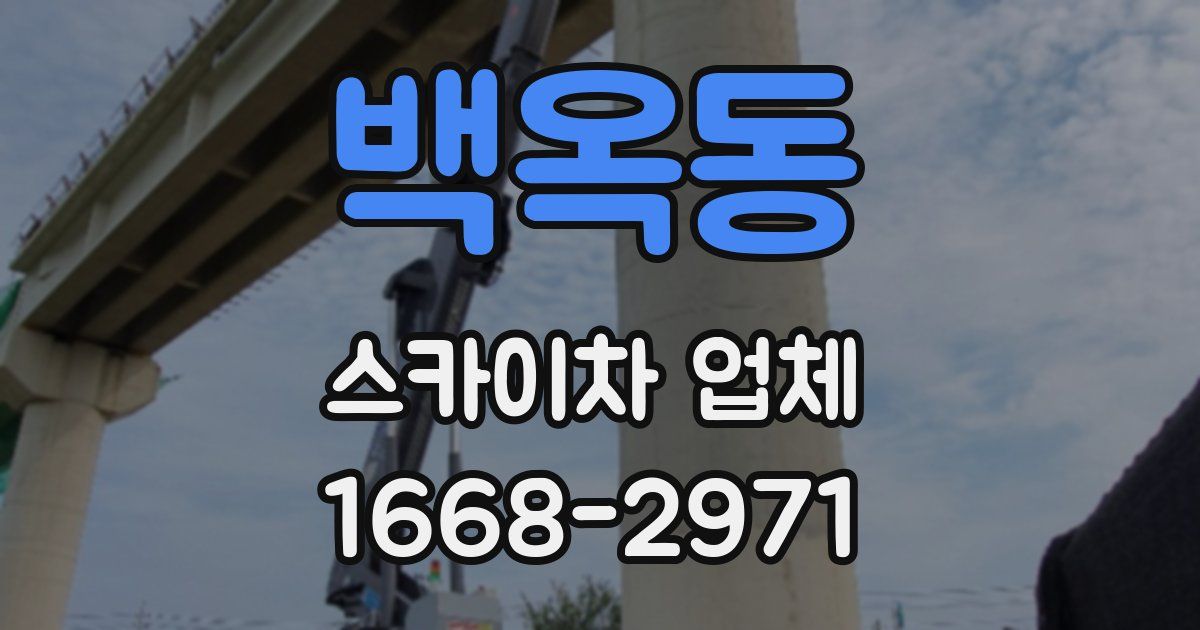 백옥동 스카이차 업체
