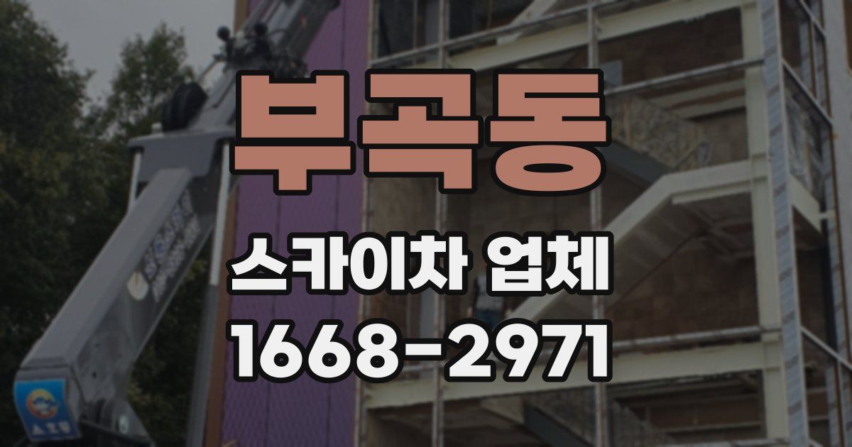 부곡동 스카이차 업체